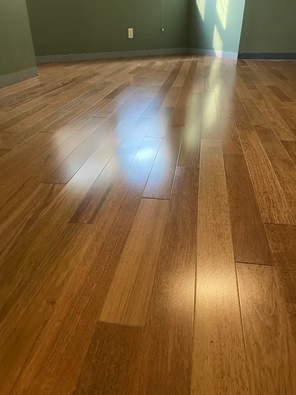 Golden oak boards catching the light against a deep green wall